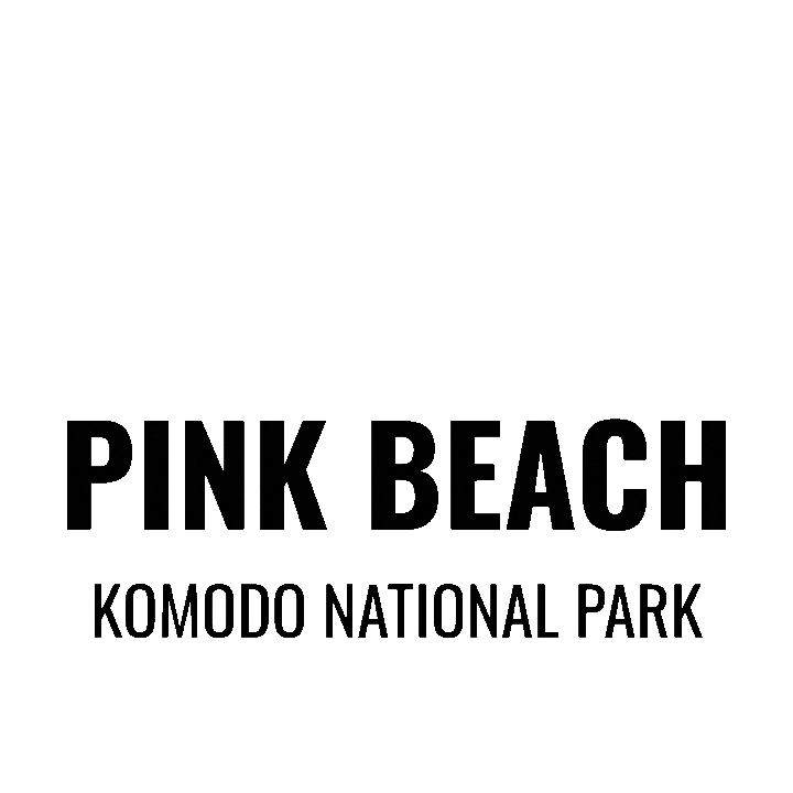 Pinkbeach Sticker by Dragon Dive Komodo