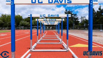 University Of California Ncaa GIF by UC Davis