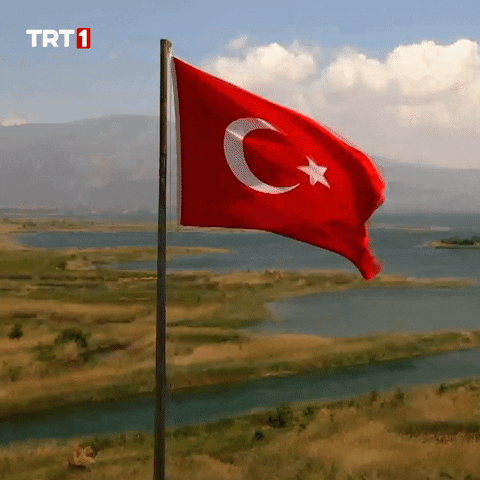 19 Mayıs Turkish GIF by TRT