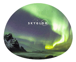 Northern Lights Stars Sticker by SkyGloo