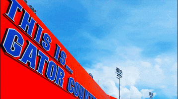 Football Stadium Sky GIF by University of Florida