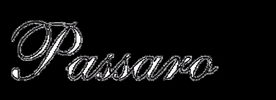 passarosa GIF