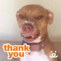 Thank-you GIFs - Get the best GIF on GIPHY