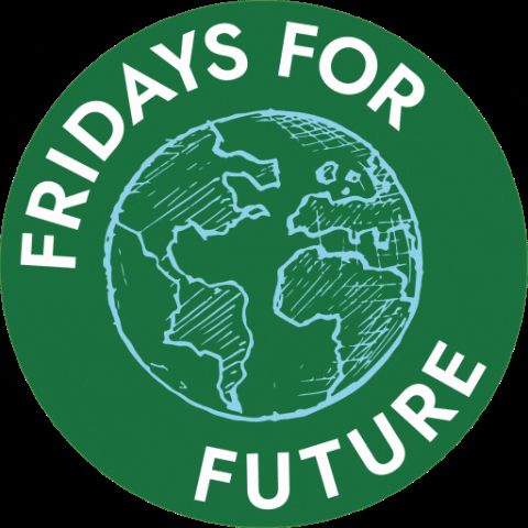 sommerkongress fff klimaschutz fridays for future kongress GIF