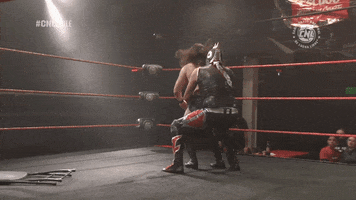 Fight Wrestling GIF by CNL Chile