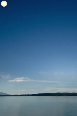 giphy.webp?cid=ecf05e471vbbm11gu1a7bpixk