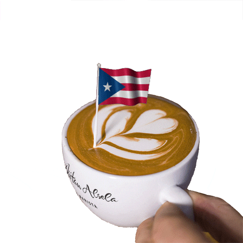 what date is the independence day in puerto rico