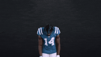 Zach Pascal Nfl GIF by Indianapolis Colts