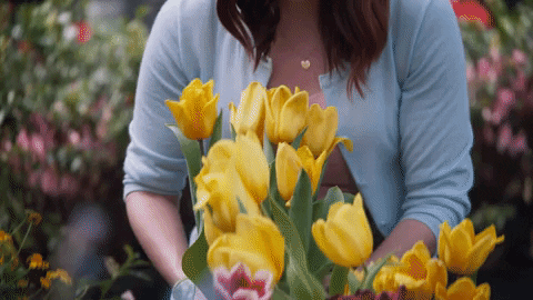 Sara Rue True Love Blooms GIF by Hallmark Channel - Find & Share on GIPHY