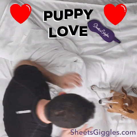 SheetsGiggles love fun cute dog GIF
