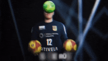 VfLEintrachtHagen handball keeper hagen vfleintrachthagen GIF