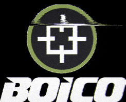 Daniel Boico GIF