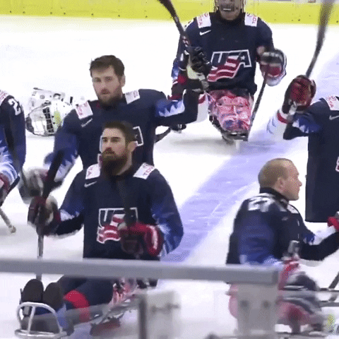 USAHockey thank you waving salute team usa GIF