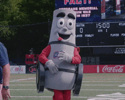 Major League Lacrosse Mascot GIF by Boston Cannons