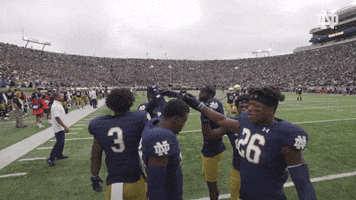 Notre Dame Defense GIF by Notre Dame Fighting Irish