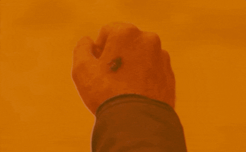 Giphy