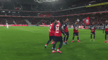 France Football GIF by Ligue 1 Conforama