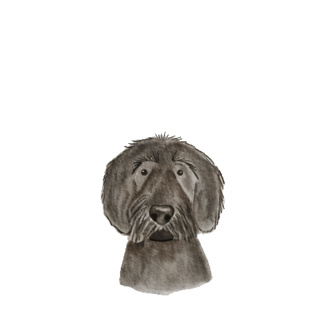 Dog Puppy Sticker