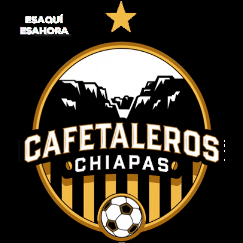 Cafe GIF by Cafetaleros de Chiapas