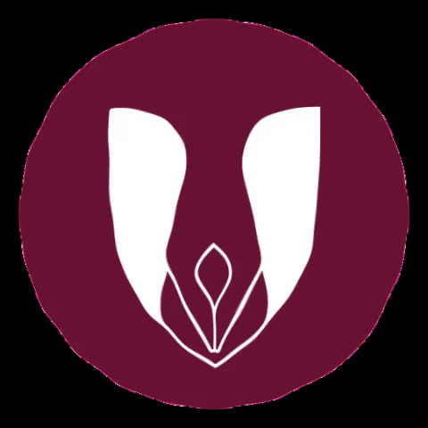 Cartório de Balsas - Segundo Ofício GIF