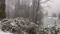 Heavy Snowfall Leaves Skykomish Carpeted in White
