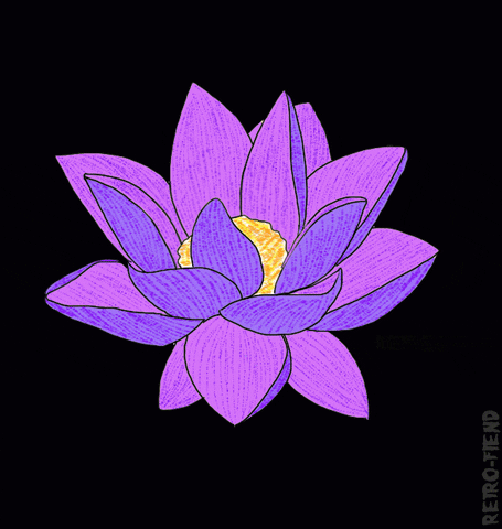 lotus blossom art GIF by RETRO-FIEND