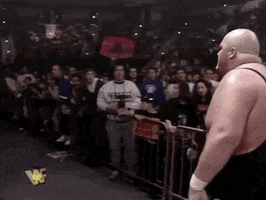 ted dibiase wrestling GIF by WWE