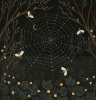 Spider Web Night GIF by Alexandra Dvornikova
