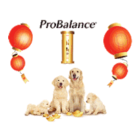 Happy New Year Sticker by ProBalance MY