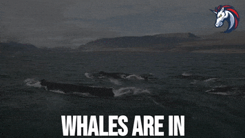 Bitcoin Trading GIF by 1inch