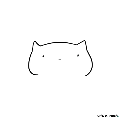 Sad Cat GIF
