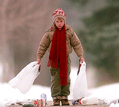 home alone groceries GIF