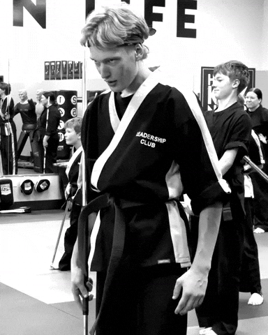 Batman Karate GIF