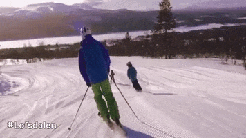 Lofsdalen snow winter mountain skiing GIF
