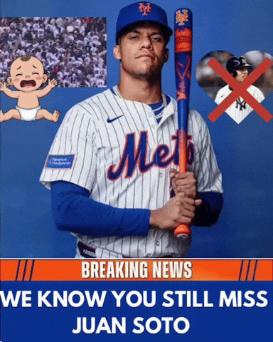 Juan Soto Mets GIF