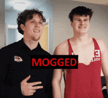 Mog GIF