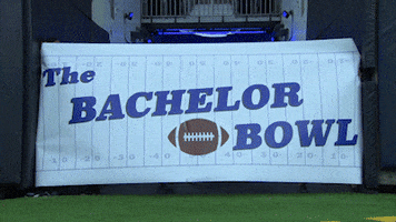 Introducing Super Bowl GIF by The Bachelor
