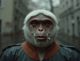 Fr GIF