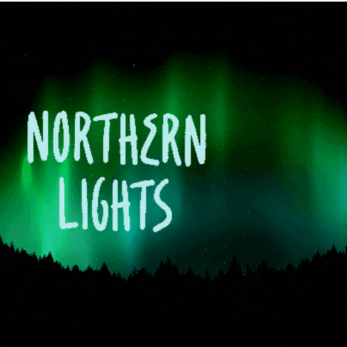 Northern Lights Night GIF by Sharing Alaska