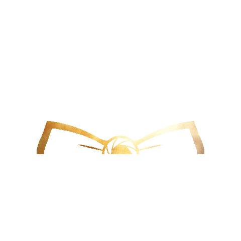 Gold Mg Sticker by GiuliaHairdresser
