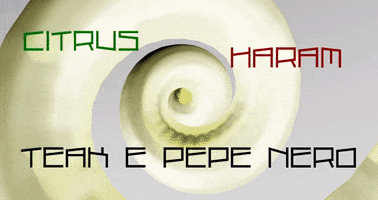 amederius GIF