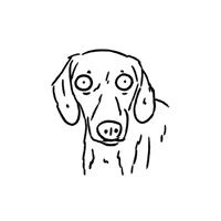 Shocked Dog GIF by butpoorlydrawn