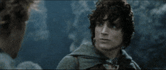 chicken dinner the lord of the rings frodo elijah wood GIF