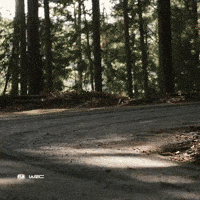 Turning Toyota Yaris GIF by FIA World Rally Championship