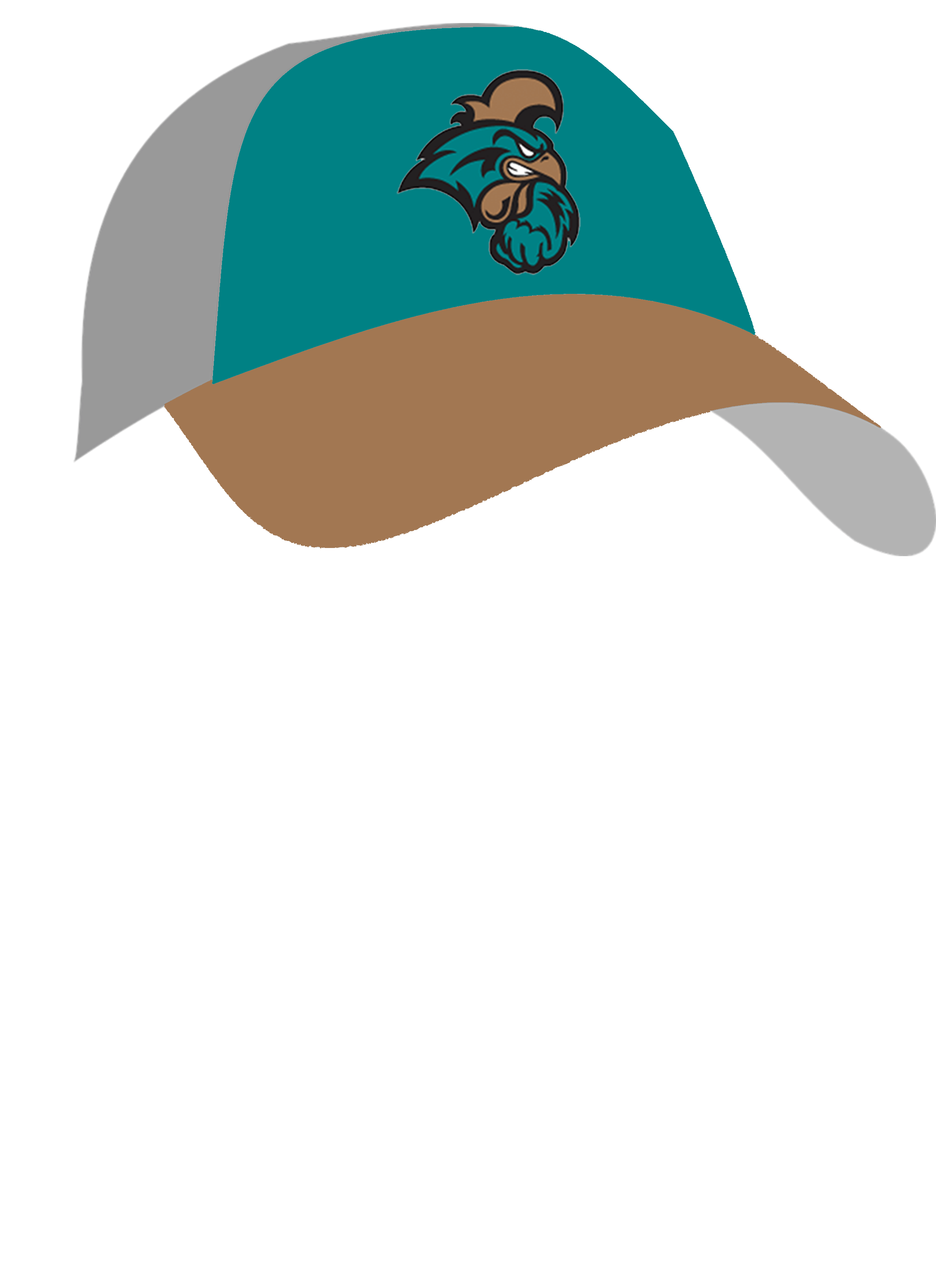 coastal carolina baseball hat