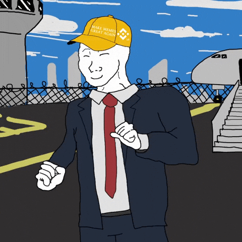 Shimmy Wojak GIF by Binance.US