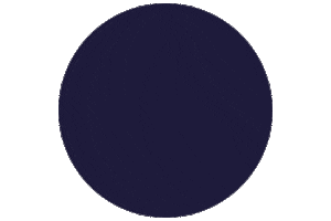 Santillana Educação Sticker