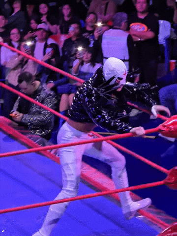 Lucha Libre Wrestling GIF