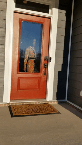 GIF by Tamika Haley