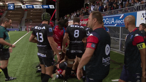 FCG Rugby GIFs - Find & Share on GIPHY